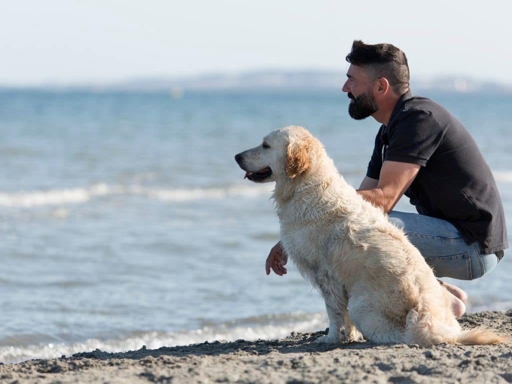 Mascotas en verano: playas para perros en Baleares